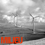 milieu